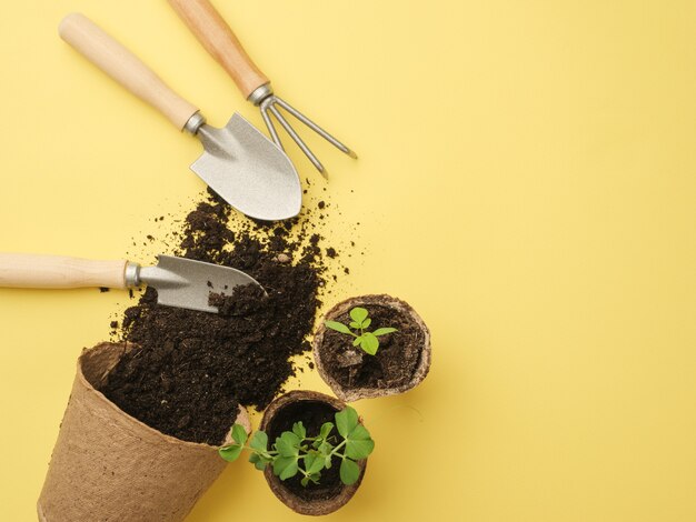 A set of gardening tools on a yellow wall. The earth pours out of the pot. View from above. Place for your text. Copy space.