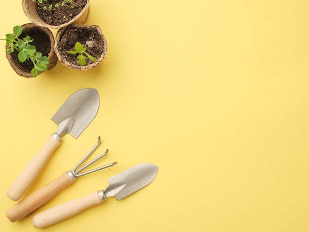 A set of gardening tools on a yellow wall with a plant in a pot. View from above. Place for your text. Copy space.