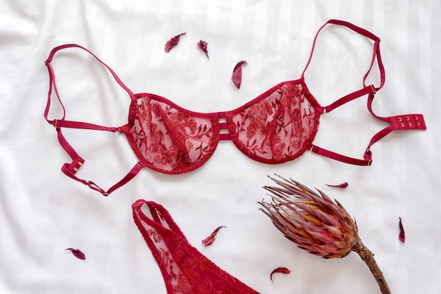 Set glamoureuze stijlvolle sexy kanten lingerie met bloemen. plat leggen, ruimte kopiëren