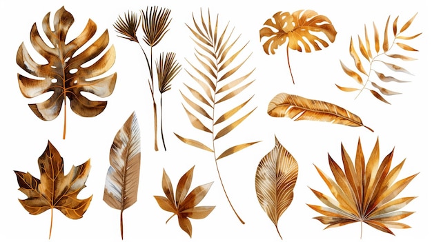 Набор золотых и коричневых сушеных тропических пальмовых листьев гербарийные элементы деревенский цветочный клип-арт изолированный на белом