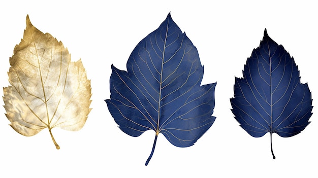 Set of golden and blue tree leaves on white background
