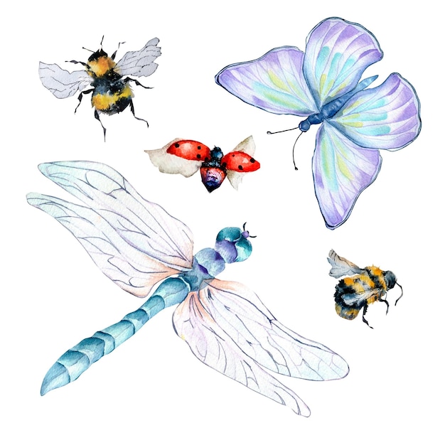 Набор пастбищных насекомых акварельные иллюстрации на белом