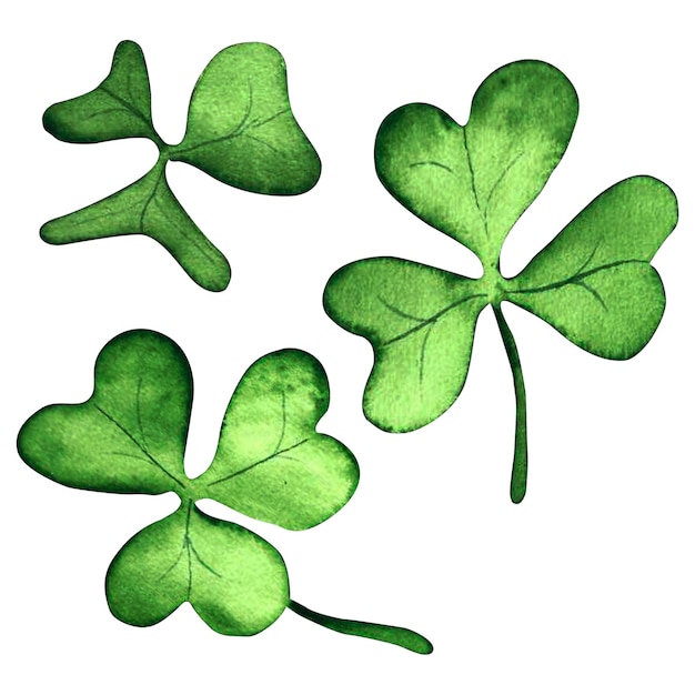 Set green clover shamrock symbol of patrick watercolor on isolated white background hand drawn