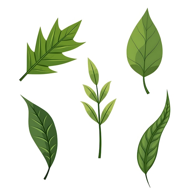 a set of green leaves and a leaf with the word quot leaf quot on it