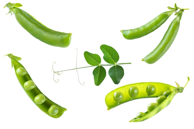 Set of green peas isolated on white background