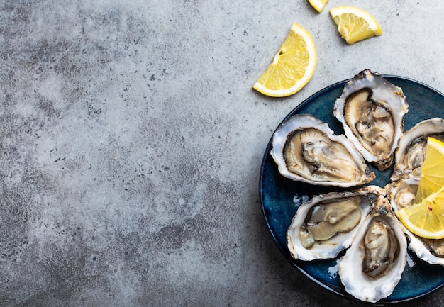 Set of half dozen fresh opened oysters in shell with lemon wedges served on rustic blue plate on gray stone background, close up, top view, space for text