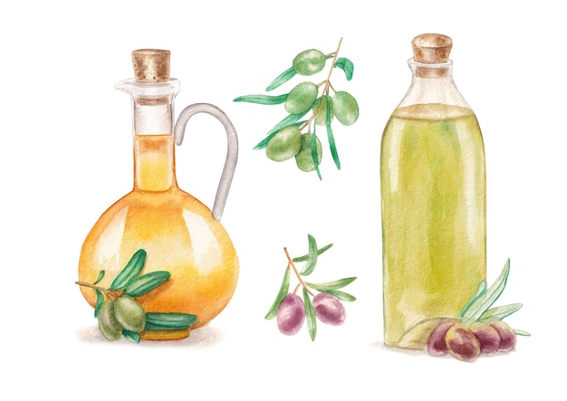 Set of hand drawn colorful watercolor olive oil painting isolated on white background