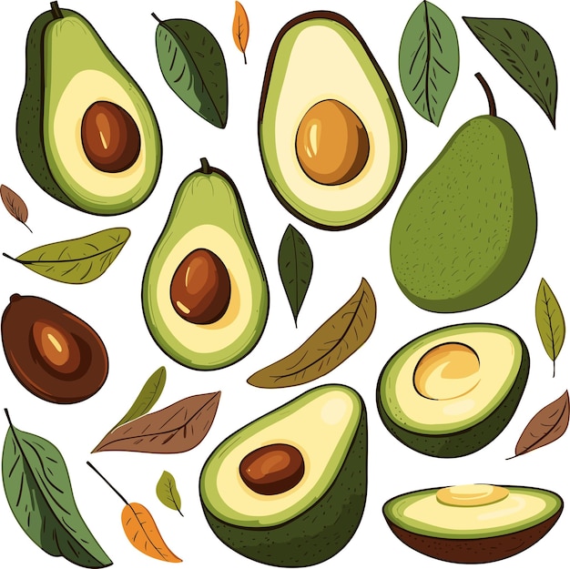 set of handdrawn avocados part of an Autumn collection featuring flat style elements isolated on