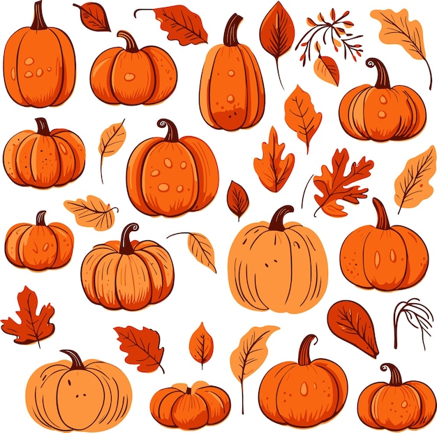 set of handdrawn pumpkins part of an Autumn collection featuring flat style elements isolated on