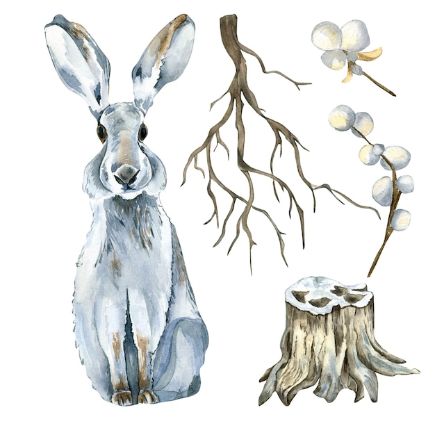 Set of hare and forest plants watercolor illustration isolated on white