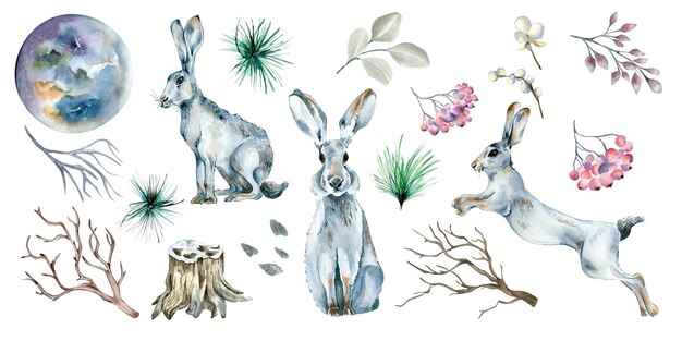 Set of hares forest plants and moon watercolor illustration isolated on white background