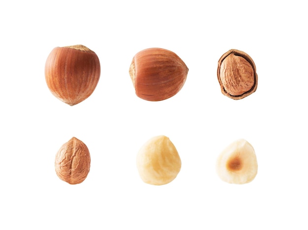 Set of hazelnuts with clipping path