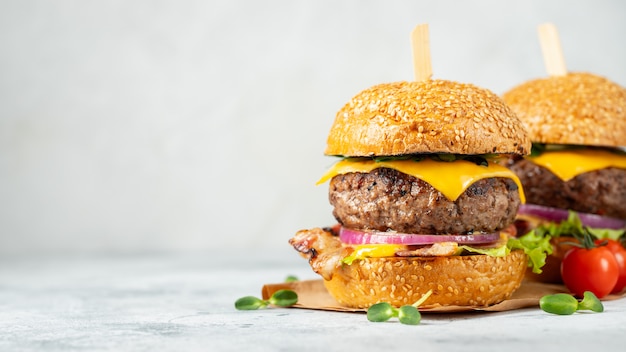 A set of homemade delicious burgers.