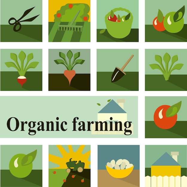Photo set of icons organic farming