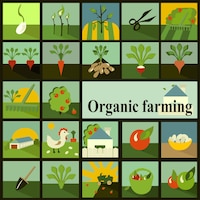 Set of icons organic farming