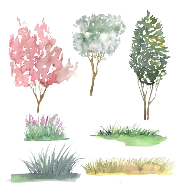 景観デザインのセットイラスト 水彩で手で描いた木 草 庭の植物のモチーフ