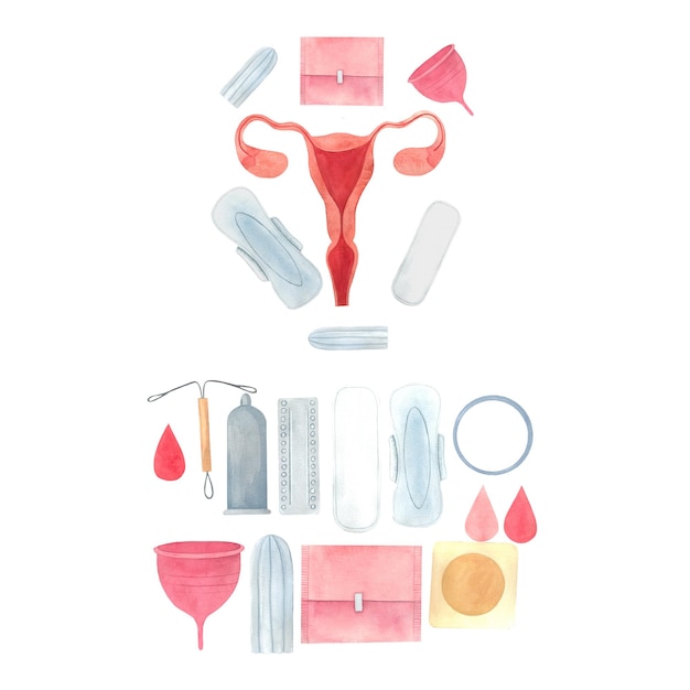 Photo set illustration with a uterus and feminine hygiene products drawn in watercolor by hands internal reproductive organs pads tampons