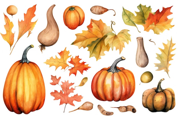 A set of illustrations for the fall season