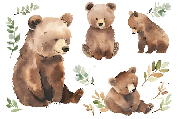 Photo set of little bear cub in different poses in style watercolor cute and curious white background