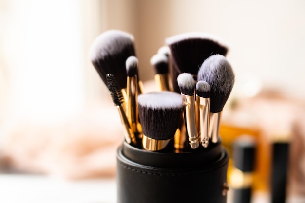 Set of luxurious black makeup brushes in leather case