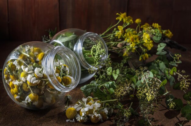 A set of medicinal herbs on an old wooden background herbal medicine