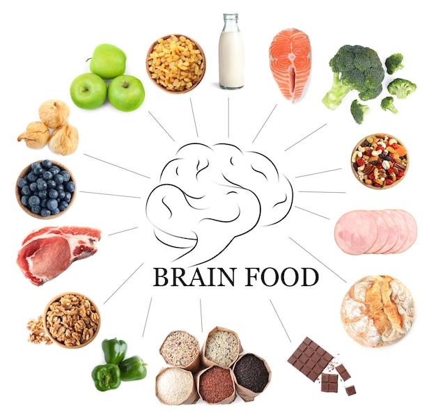 Set met verschillende hersenvoeding op witte achtergrond