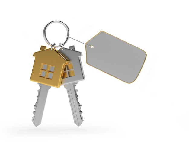 Set of metal houses keys with blank label
