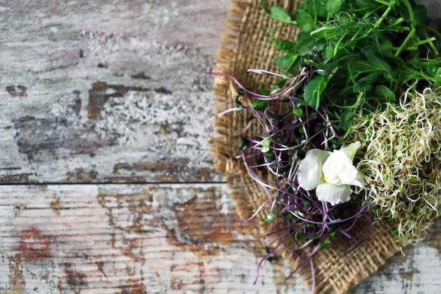 Set of microgreens on a wooden surface