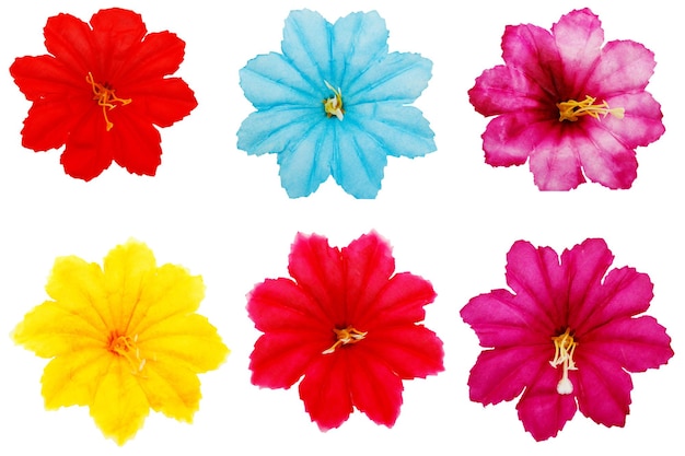 Set of multicolored artificial flower buds for design on an isolated. Web design, layout, website creation.