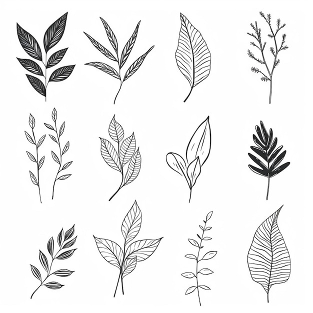 A set of nine different leaves drawn in ink on a white background generative ai