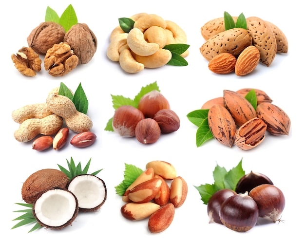 Photo set of nuts