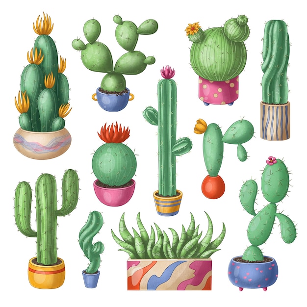 Фото Набор иллюстраций кактусов, нарисованных вручную суккулентами и цветами, изолированными на белом фоне