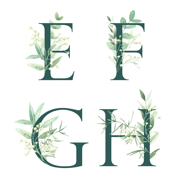 写真 花のアルファベットのセット e f g h 文字は濃い緑色です