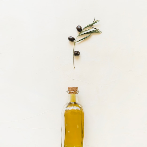 Фото Набор оливковой ветви и бутылки с маслом