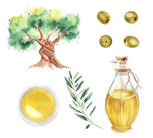 Photo set of olive tree glass jug and bowl with oil olive branch and green olives hand drawn watercolor illustration on a white background for menu product and italian greek spanish cuisine design