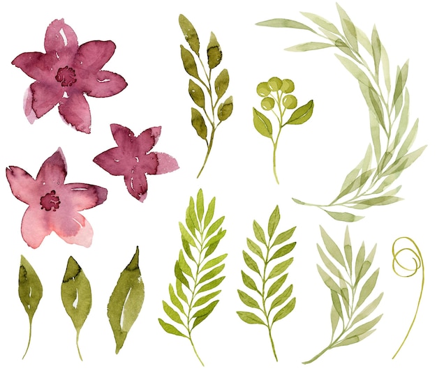 Set of pink watercolor flowers green watercolor leaves ferns and branches botanical illustration