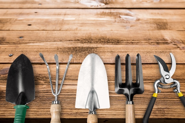 Set of plant care utensils on background