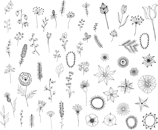 Photo set of plants and flowers. vector design element.