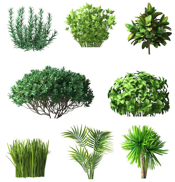 Set of plants and shrubs isolates