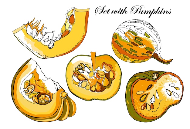 白で隔離されるカボチャのセット