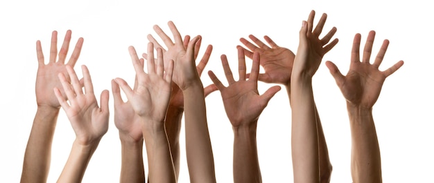 Photo set of raised hands, isolated