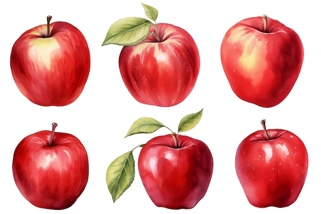 Set of red apples watercolor isolated