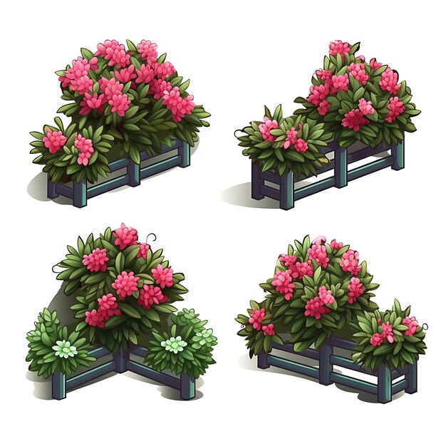 Photo a set of rhododendron bushes pruned into rectangular screens accompan isolated on white bg clipart