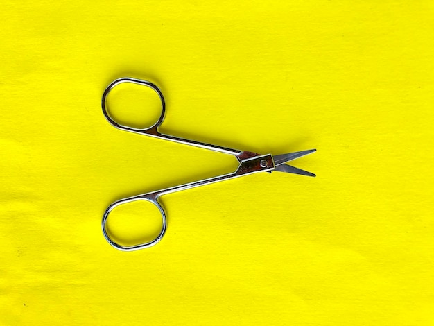 A set of scissors