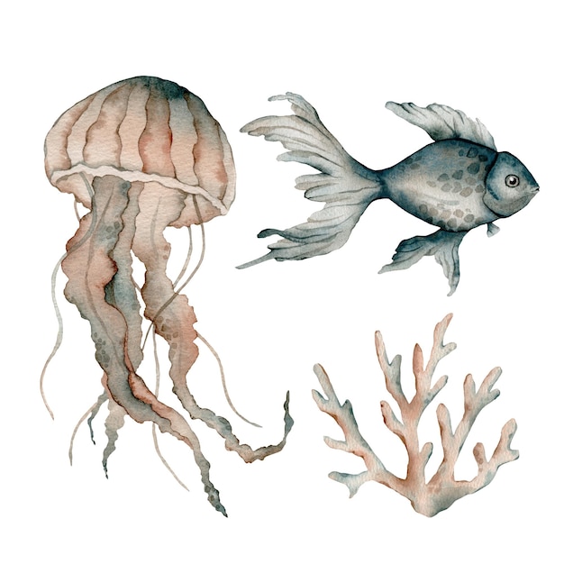 Set of sea animals Blue greeen brown watercolor ocean shell fish aquarium coral medusa