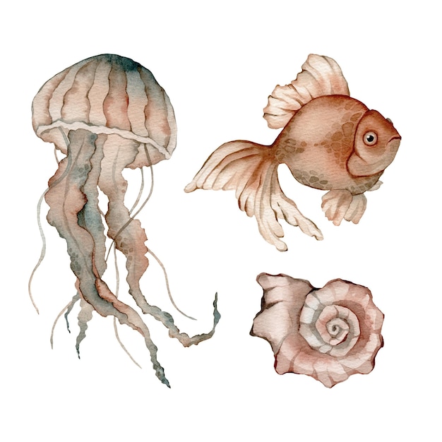 Set of sea animals poster Blue greeen brown watercolor ocean jellyfish medusa fish aquarium