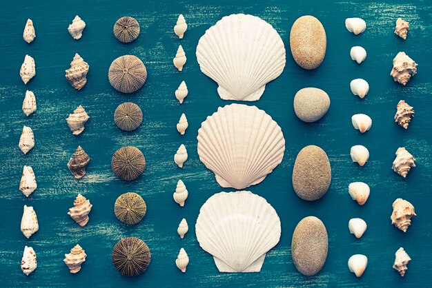 Photo set sea shell decorative frame place for text.