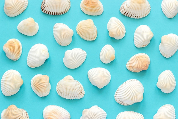 Set seashells on blue paper as background or texture