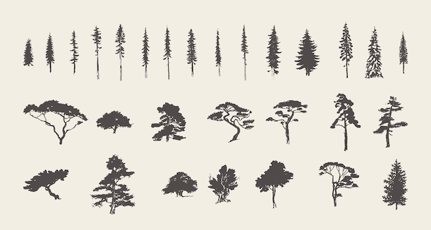 Set silhouetten van naaldbomen. Dennen, sparren, sparren, ceders, lariksen