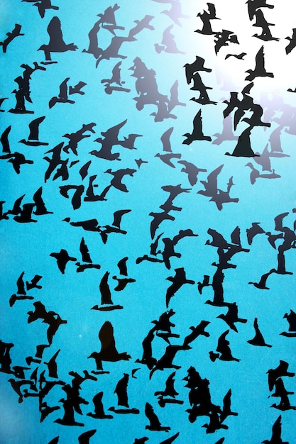 Photo set of silhouettes of birds on a blue background